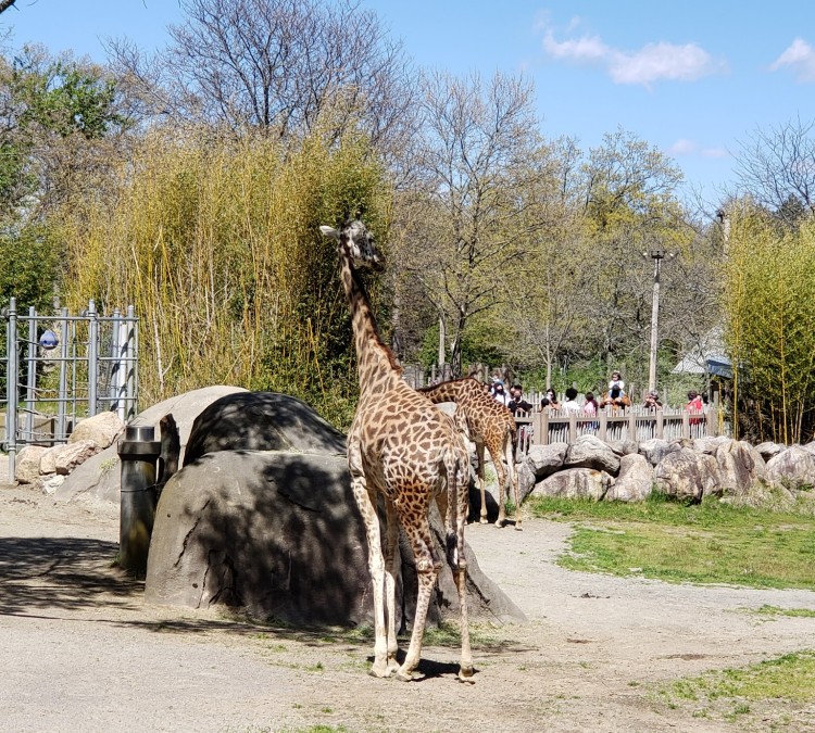 roger-williams-park-zoo-photo